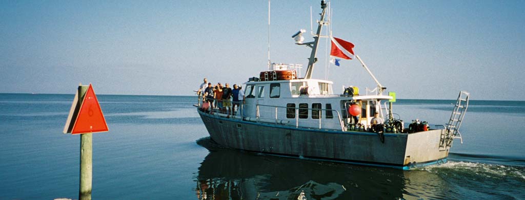 2005-HATTERAS-GEKKOS.jpg